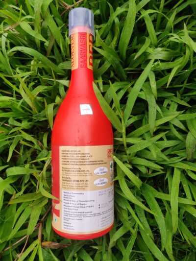 Red Aloe Vera - Image 5