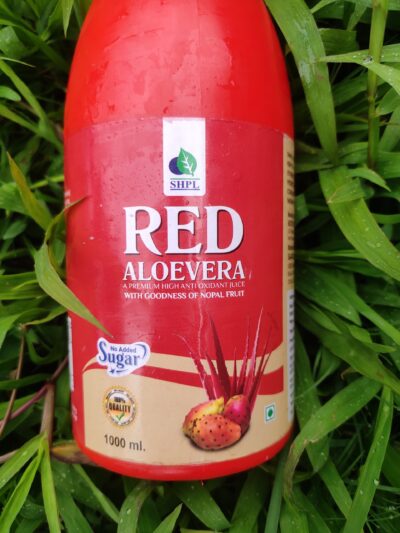 Red Aloe Vera - Image 4