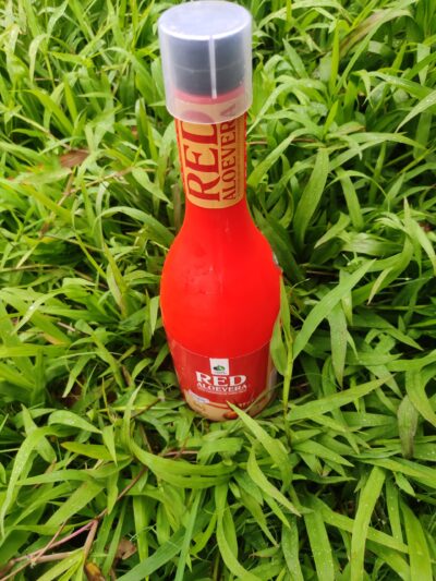 Red Aloe Vera - Image 2