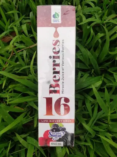 16 Berries Juice - Image 2