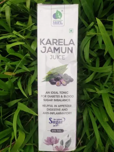 Karela Jamun Juice - Image 4