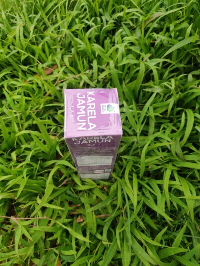 Karela Jamun Juice - Image 6