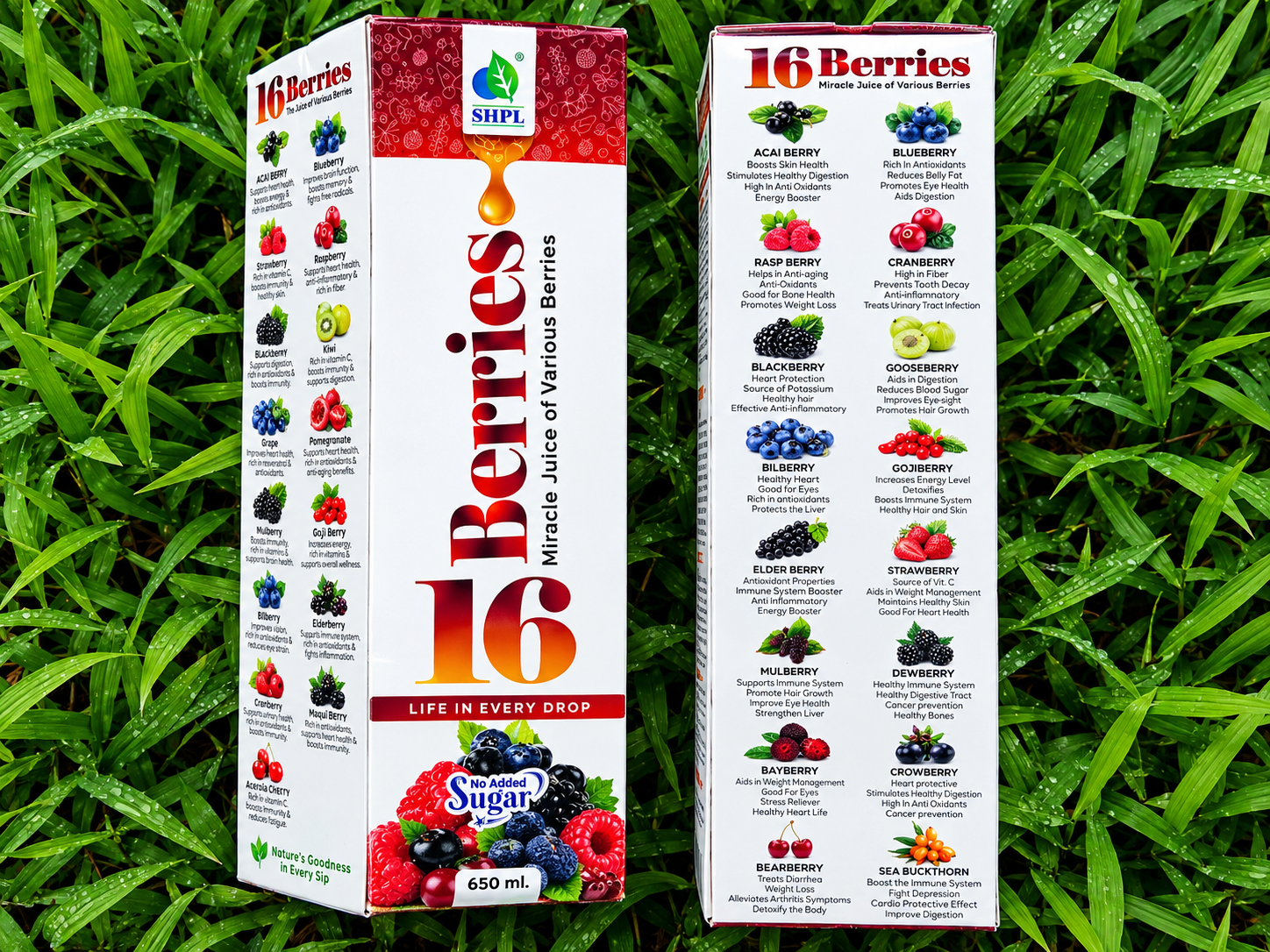 Your Natural Health Boost img